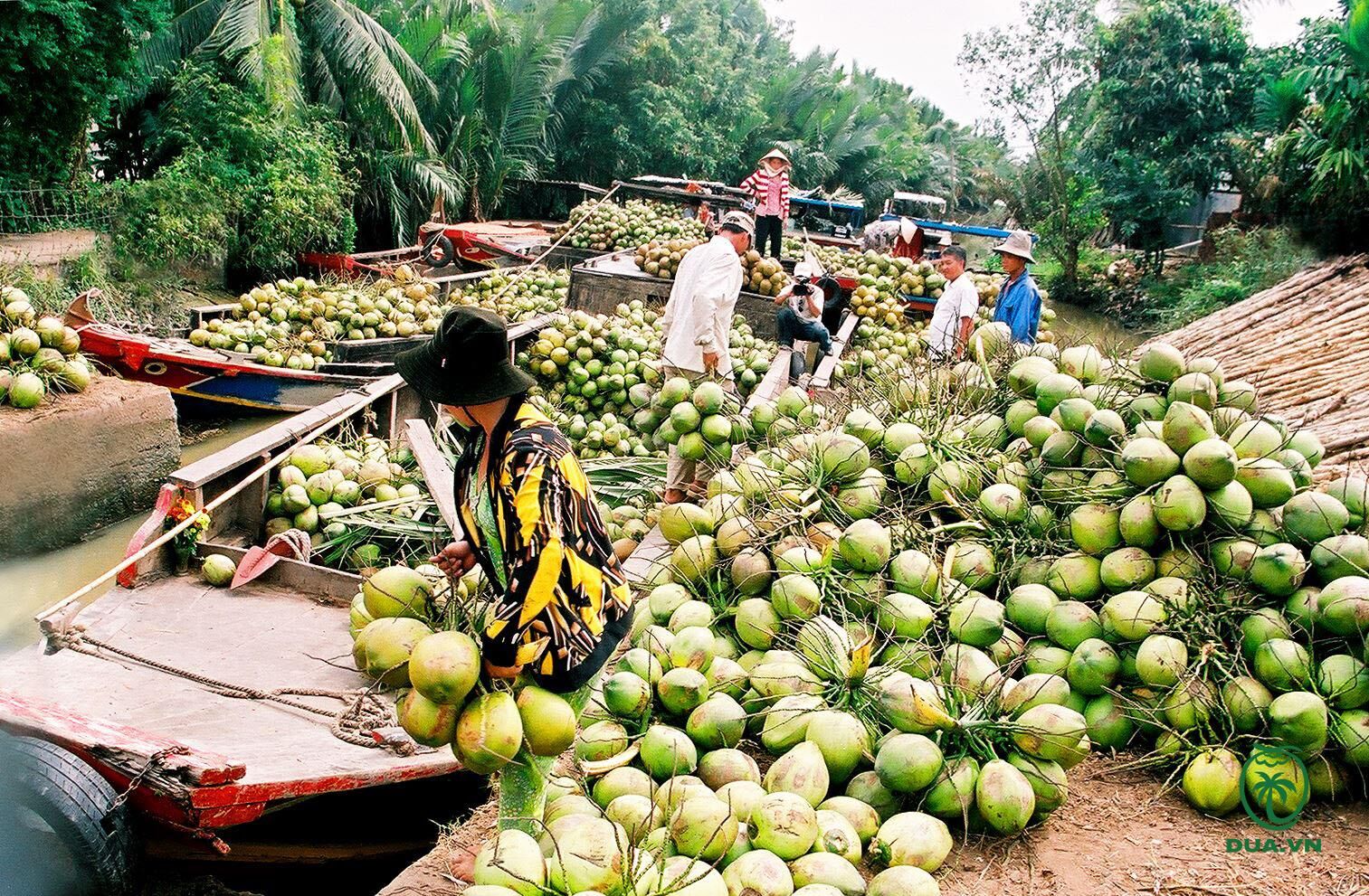 Experience Ben Tre’s safe sites with guided tours